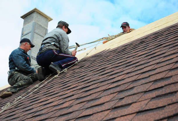 Best Gutter Installation and Roofing  in Westwood, PA